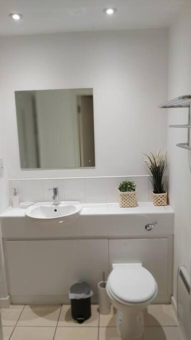 Piquancy Apartments - Sheffield City Centre Екстериор снимка